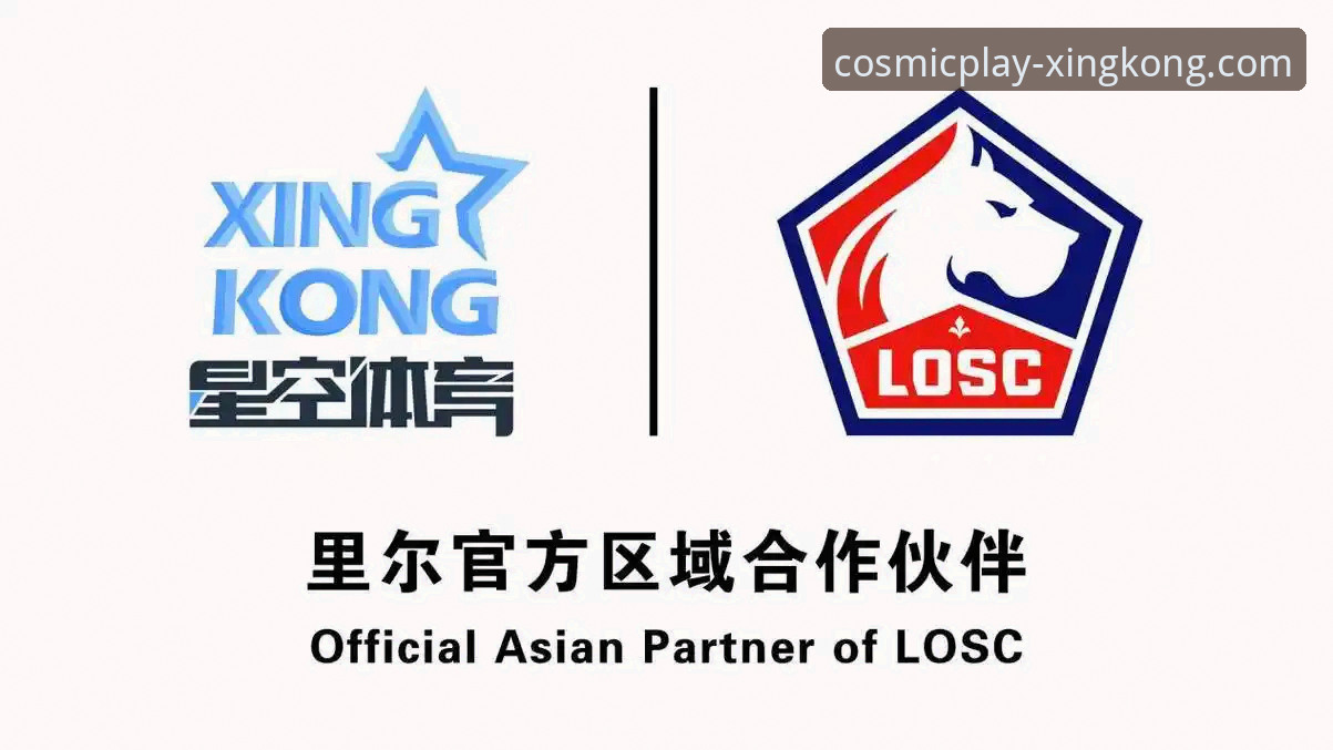 星空体育手机软件功能详解与使用指南